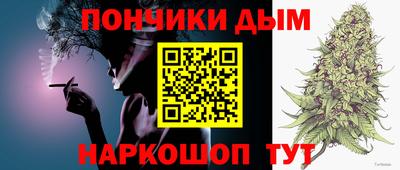 кокс Гатчина