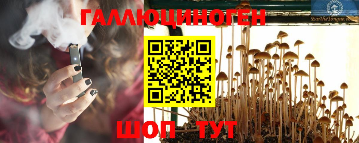 Галлюциногенные грибы Magic Shrooms Камышлов